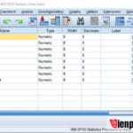 IBM SPSS Statistics 27