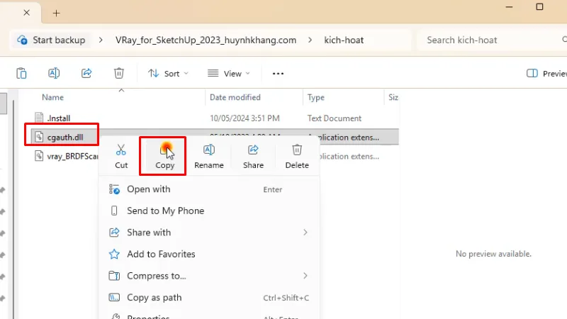 Copy file như hình