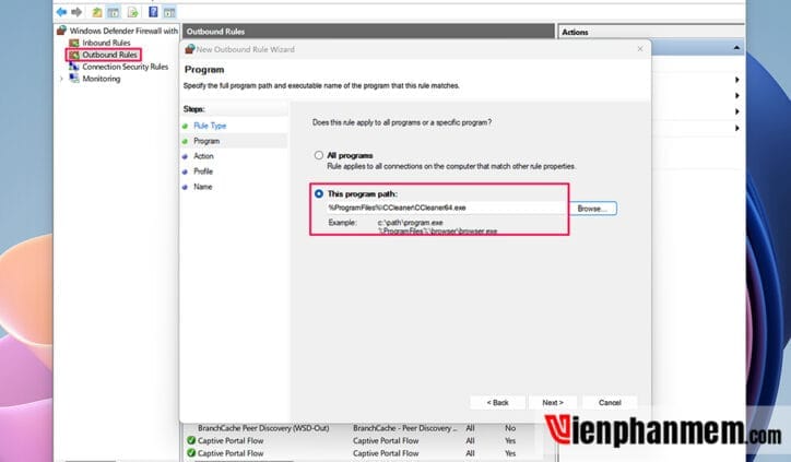Hướng dẫn chi tiết cách Active CCleaner Pro Full crack sử dụng vĩnh viễn